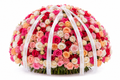 Build Your Own Rose Bouquet — front view — Fresh Flower Point