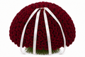 Burgundy Rose Bouquet — front view — Fresh Flower Point