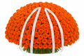 Orange Rose Bouquet — front view — Fresh Flower Point