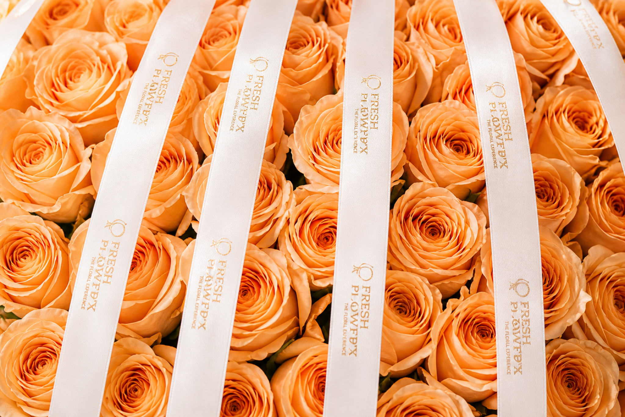 Peach Rose Bouquet — petal detail — Fresh Flower Point