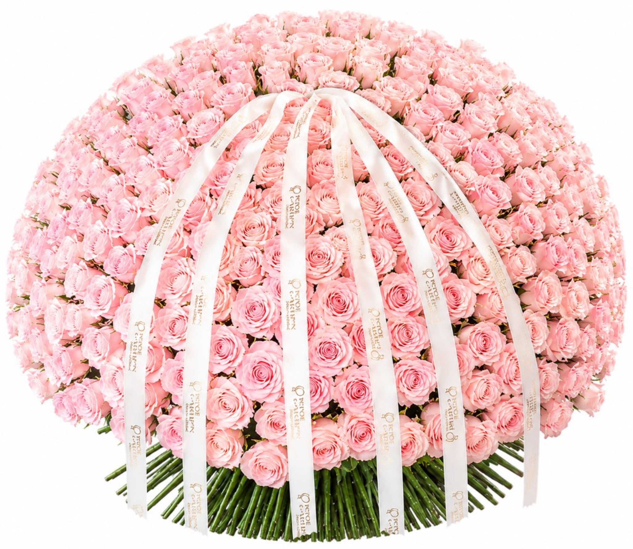 Pink Rose Bouquet — front view — Fresh Flower Point