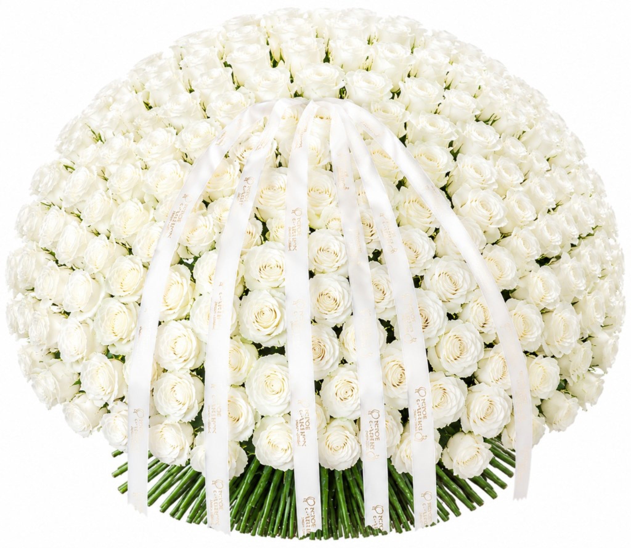 White Rose Bouquet — front view — Fresh Flower Point